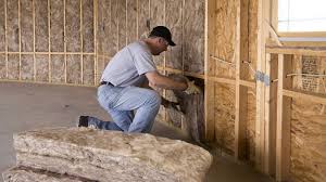 Best Basement Insulation  in West Springfield, VA